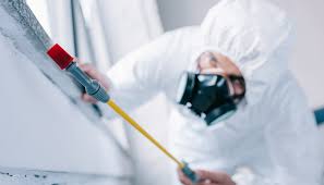 Best Real Estate Pest Inspections  in Avonmore, PA